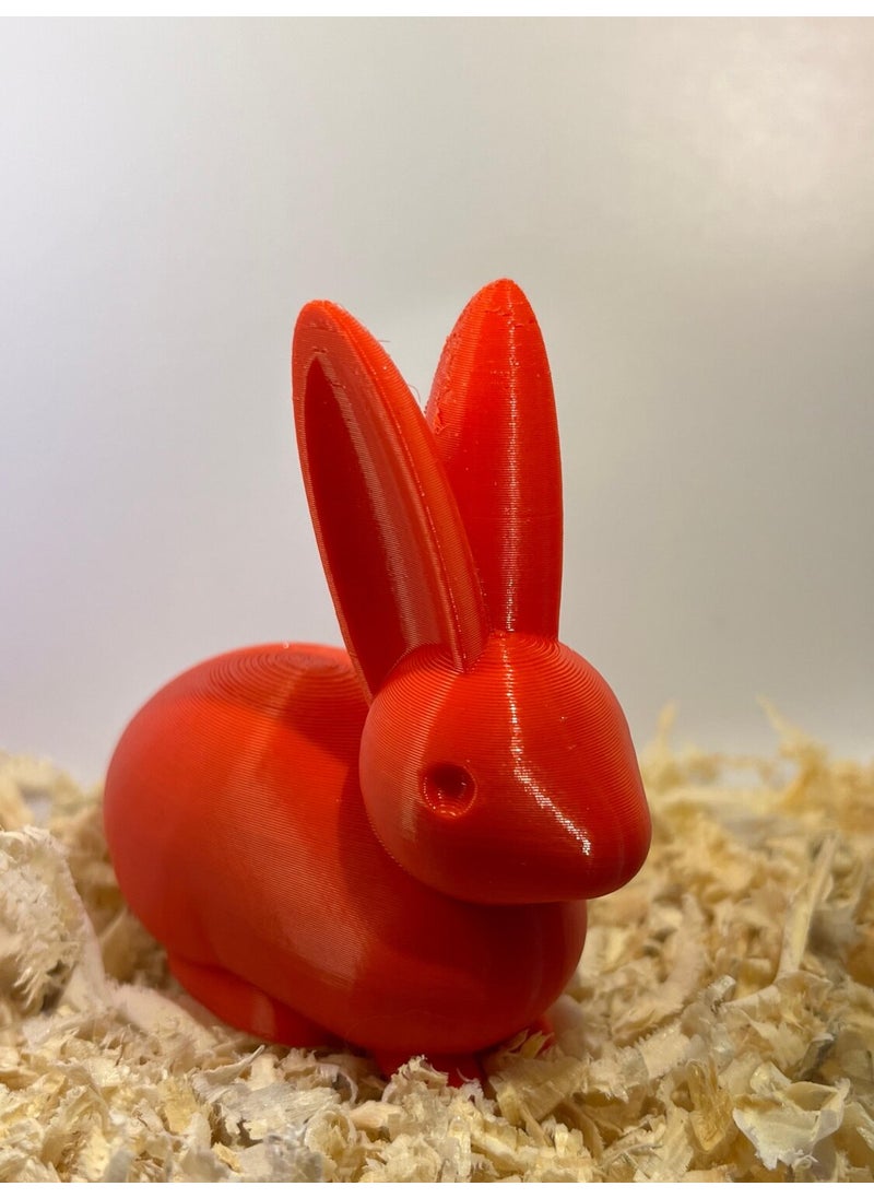 Epm3d Rabbit(Made from Organic Plastic)  - Image 1