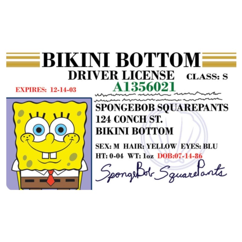 Signs 4 Fun Parody Driverâ€™s License - Spongebob ID - Fake ID Novelty Card - Collectible Trading Card Driverâ€™s License - Novelty Gift for Holidays - Made in the USA - Image 1