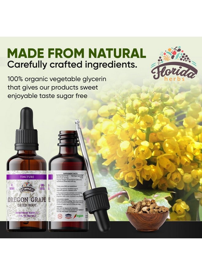 FLORIDA HERBS صبغة العنب الأوروجوني، مستخلص العنب الأوروجوني العضوي (Mahonia aquifolium) - غير معدّل وراثيًا في الجلسرين النباتي العضوي المضغوط على البارد 2 أونصة - Image 3