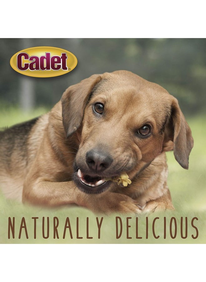 Cadet Cadet Gourmet Chicken & Apple Wrapped Dog Treats Wraps - Healthy & Natural Chicken & Apple Dog Training Treats for Small & Large Dogs - Inspected & Tested in USA (14 oz.)  - Image 4