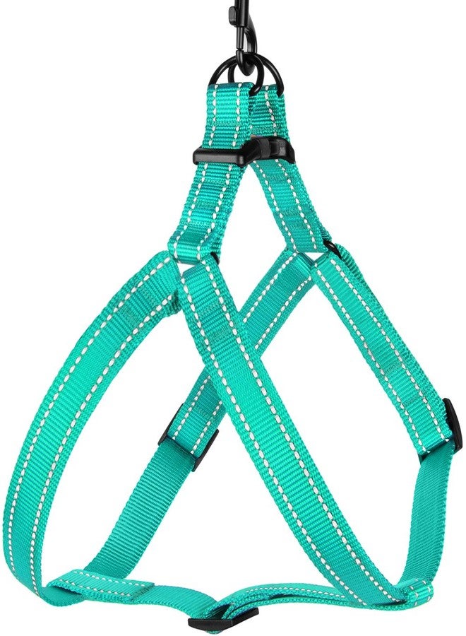 CollarDirect Reflective Dog Harness Step in Small Medium Large for Outdoor Walking, Comfort Adjustable Harnesses for Dogs Puppy Pink Black Red Purple Mint Green Orange Blue (Small, Mint Green) - Image 3