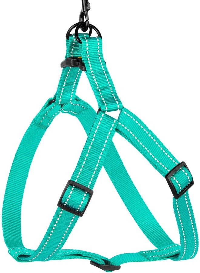 CollarDirect Reflective Dog Harness Step in Small Medium Large for Outdoor Walking, Comfort Adjustable Harnesses for Dogs Puppy Pink Black Red Purple Mint Green Orange Blue (Small, Mint Green) - Image 4