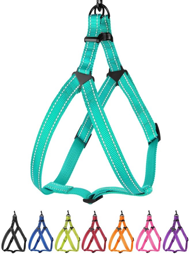 CollarDirect Reflective Dog Harness Step in Small Medium Large for Outdoor Walking, Comfort Adjustable Harnesses for Dogs Puppy Pink Black Red Purple Mint Green Orange Blue (Small, Mint Green) - Image 1