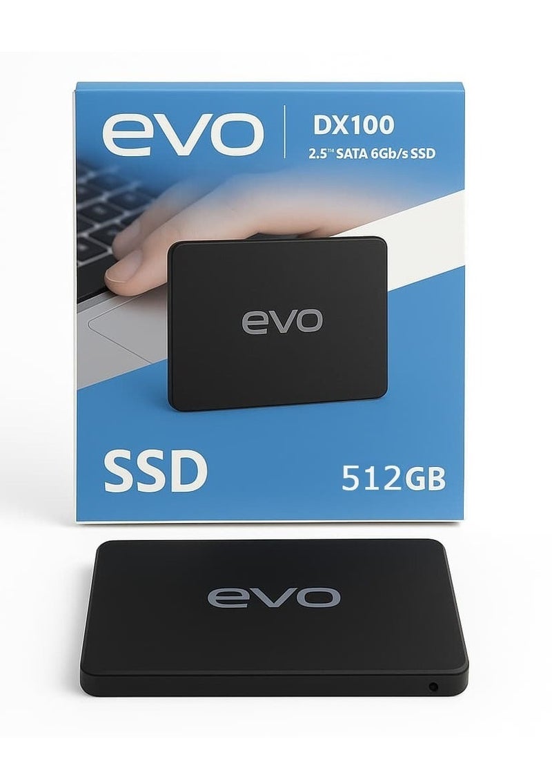 EVO Internal Hard Disk DX100 2.5" Sata 6GB/s SSD - 512 GB  - Image 1
