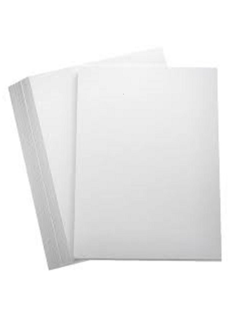 IQ - Mondi IQ Economy+ A4 Size Copy Paper, 80 GSM- Pack Of 500 Sheets - Image 1