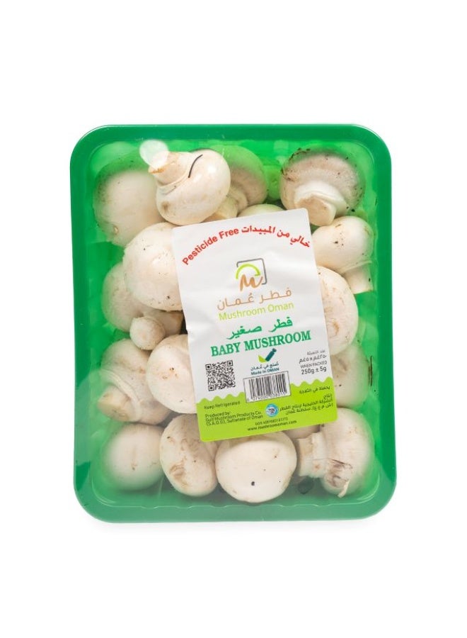 فطر أبيض صغير, 250 غرام لكل عبوة