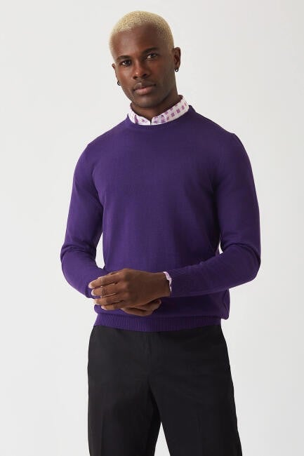 Bisse Men's Crew Neck Knitwear PURPLE TR22K22200_D43  - Image 1