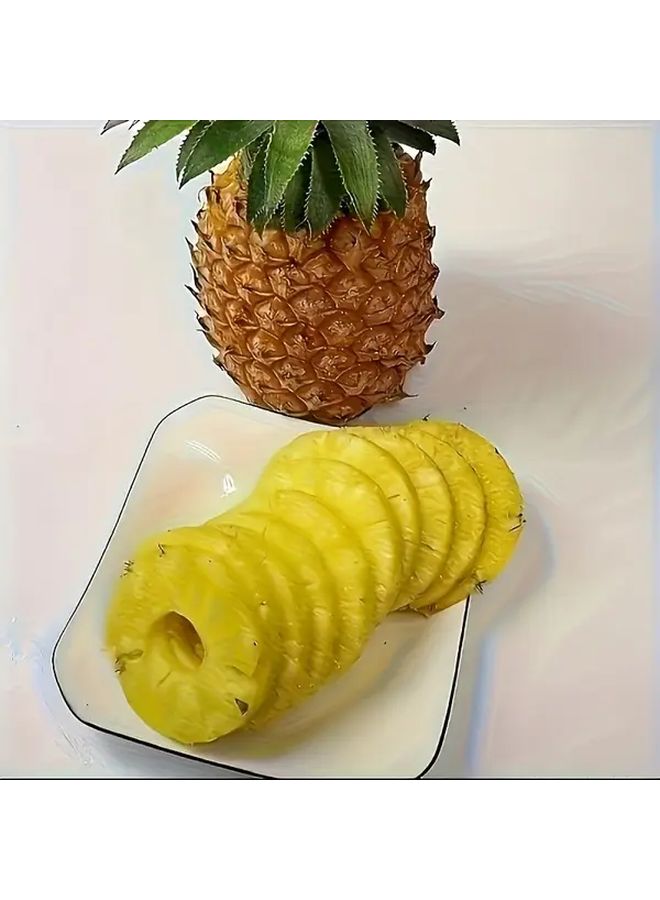 Stainless Steel Pineapple Core Remover and Slicer Ergonomic Fruit Tool - Image 5