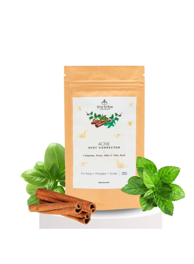 The Tribe Concepts Acne Spot Corrector Powder With Cinnamon, Neem, Mint & Basil For Acne, Pimples & Scars - 50 g (Kraft Paper Packing) - Image 1