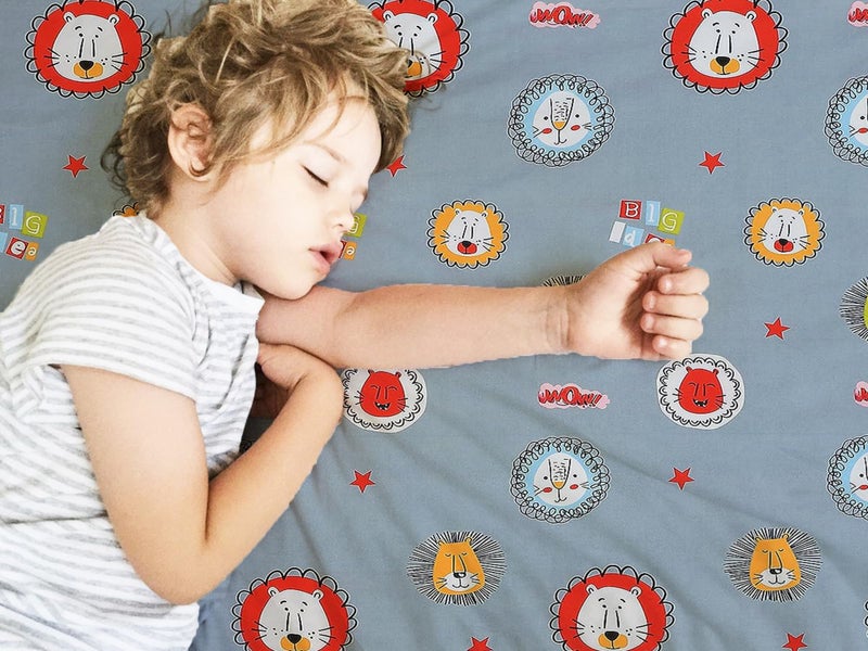 Filymore Lion Double bedsheet for Girls Kid bedsheet for Queen Size Bed 240 TC Microfiber Soft Cartoon bedcover for Kids Room (90x90 Inches)(Dark Grey) - Image 3
