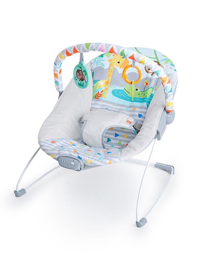 Bright Starts Safari Fun - Vibrating Bouncer  - Image 1