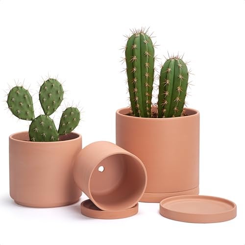 D'vine Dev Terracotta Pots for Plants, 6.5 Inch 8.3 Inch 9.5 Inch, Round Cylinder Planter Pot with Drainage and Saucer, 40-T-C-0 - Image 1