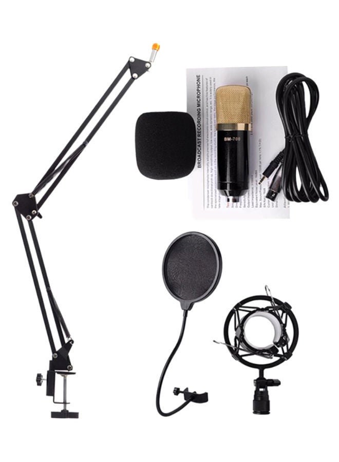 Professional Condenser Audio Streaming Kit Black/Gold - Image 1