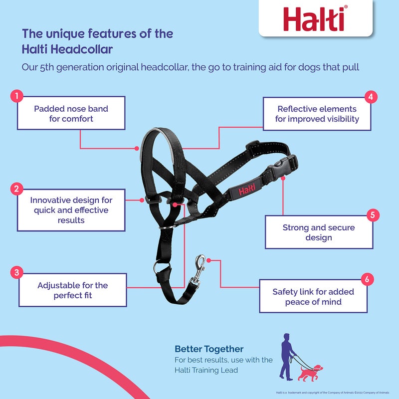 Halti Headcollar - Stop Your Dog Pulling on The Leash. Adjustable, Reflective and Lightweight, with Padded Nose Band. Dog Training Anti-Pull Collar for Large Dogs (Size 4, Forest Green) - Image 2