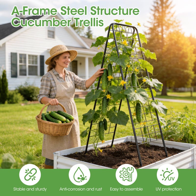 MQHUAYU Heavy Duty Cucumber Trellisï¼Œ50"x17" Adjustable A-Frame Trellis for Climbing Plants ï¼ŒMetal mesh Design, Rust-Proof and UV-Resistantï¼ŒGarden Trellis for Cucumber Beans and Vine Type Plants. Black &1Pcs - Image 3