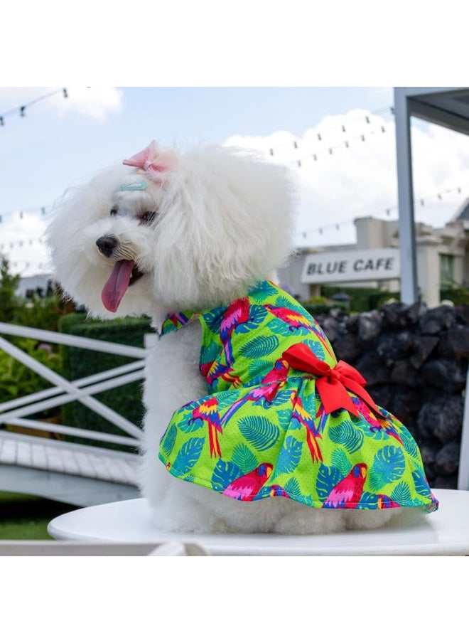 CuteBone - Dog Mesh Dress Puppy Sundress Pet Outfit Summer Fashion for Small Dogs Girl Cat Clothes BF24L - Image 1