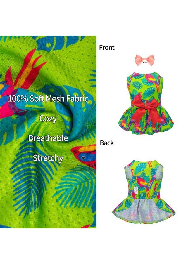 CuteBone - Dog Mesh Dress Puppy Sundress Pet Outfit Summer Fashion for Small Dogs Girl Cat Clothes BF24L - Image 1