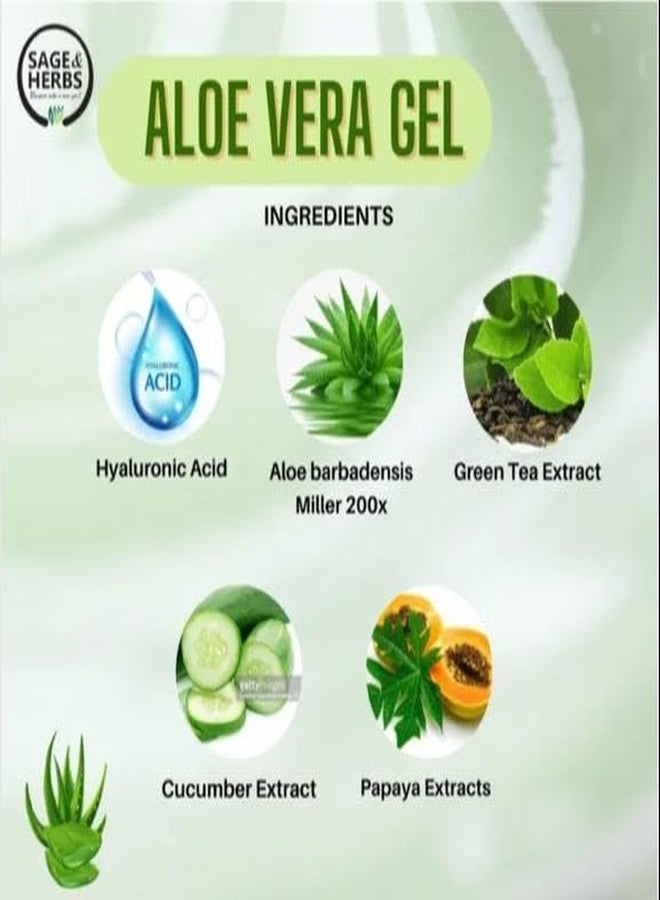 Sage & Herbs 100% Organic Aloe Vera Gel |For Face & Hair | Hydrating, Moisturizing, Soothing Skin | Multipurpose Gel | Reduce Acne, Dandruff | Treats Sunburn (50g) - Image 3