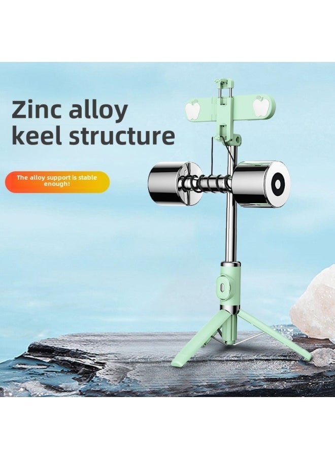 Bluetooth Multi-function Mini Remote Control Mobile Phone Selfie Stick Bracket Dual Fill Light Integrated Live Camera Tripod-Color:Red Strawberry [double Fill Light]]