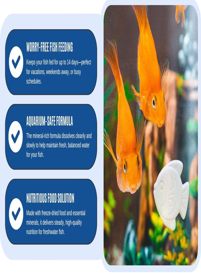 Atlantic Rush Vacation Feeder for Aquarium - 14 Day Feeder Block - Slow Release Fish Food for Betta, Goldfish & Tropical Fish - Aquatic Pet Tank Food (2 Packs of 2 Blocks) - Image 4