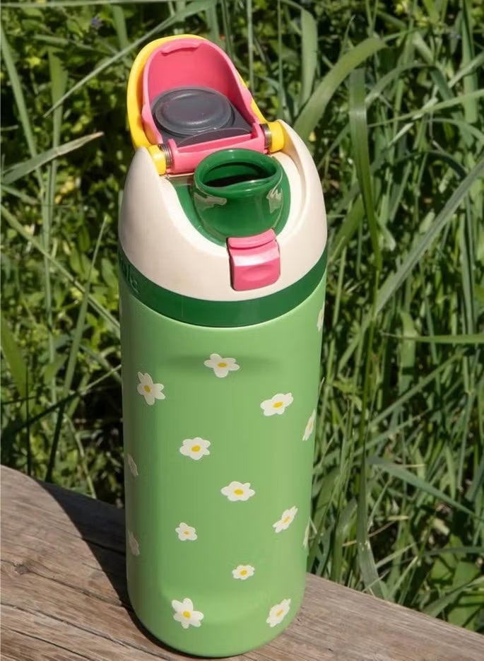 Freesip Insulated Stainless Steel Water Bottle With Straw For Sports And Travel, Bpa-Free, LIMITED EDITION Darling Daisy 24OZ - view 2