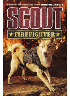 Scout: Firefighter