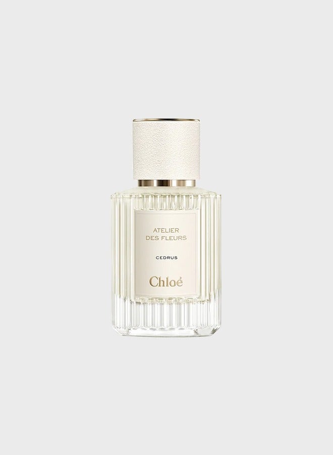 Chloe Atelier des Fleurs Cedrus EDP 50ml - Image 1