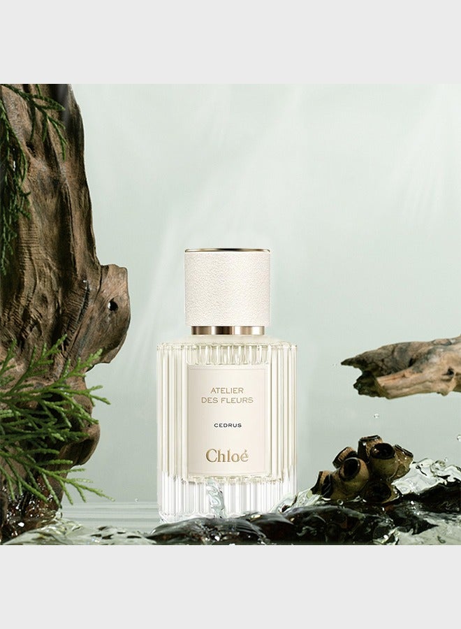 Chloe Atelier des Fleurs Cedrus EDP 50ml - Image 5
