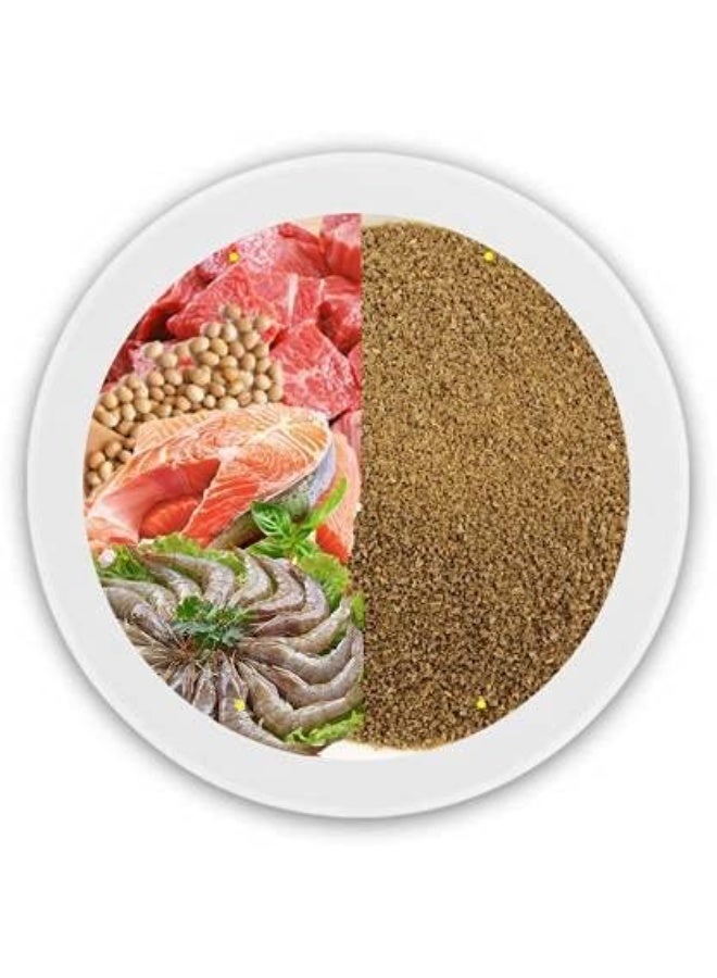 Royal Horizone Royal Guppy Food 22g, multicolor - Image 5