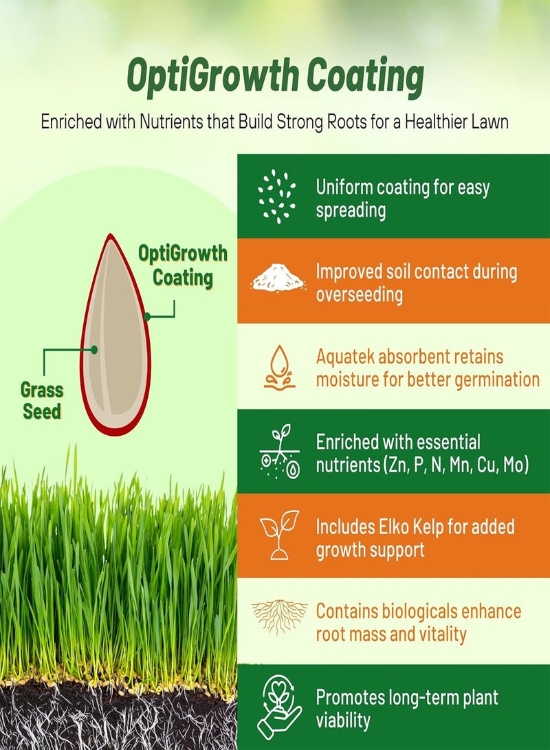 GGOOT Fireball & Hattrick Rye Grass Seed Blend - 50 gs. Wear Tolerant, Fine Leaf Texture Perennial Rye Grass Seeds for Lawn, Sports Turf & More, OptiGrowth Coated for Better Establishment - Image 5