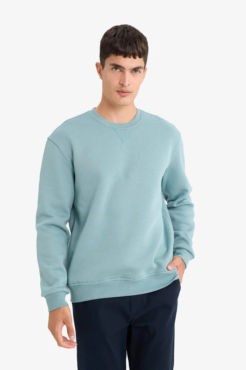 DeFacto Regular Fit Crew Neck Basic Thick Sweatshirt
