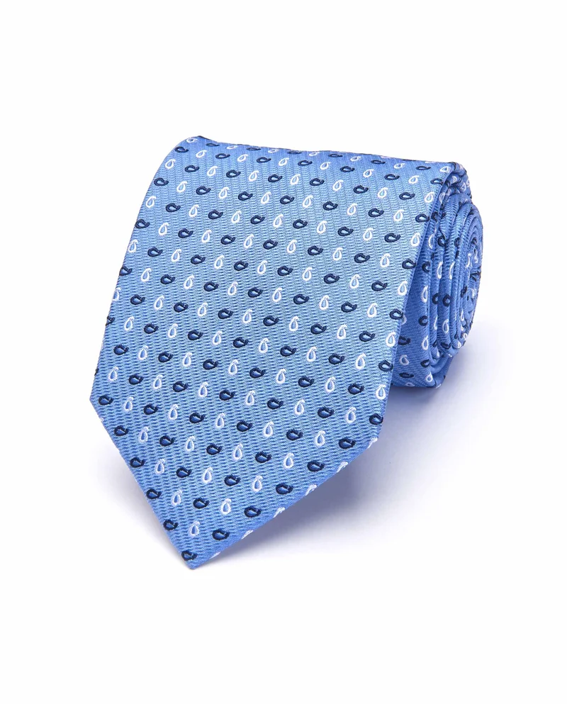 كاميتشسما ربطة عنق جاكار بنقوش حريرية