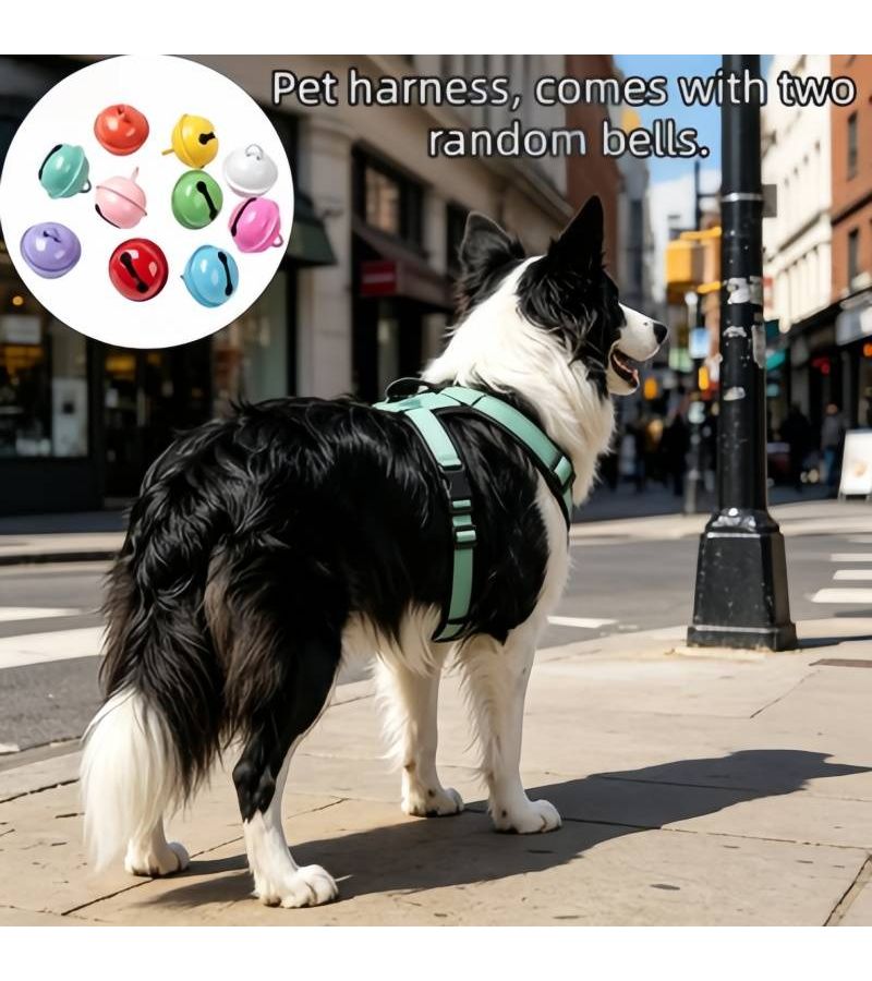 حزام الكلب غير قابل للسحب قابل للتعديل فاتح اللون الأخضر صغير سترة عاكسة مضادة للهروب - Image 1