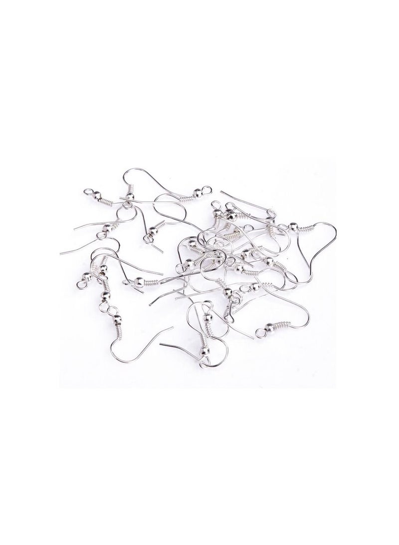 Generic 100 Pcs Stainless Steel Earring Hook Ear Wire Hook For DIY Jewelry Findings Earrings Making Silver Plated Earring Accessories - Image 1