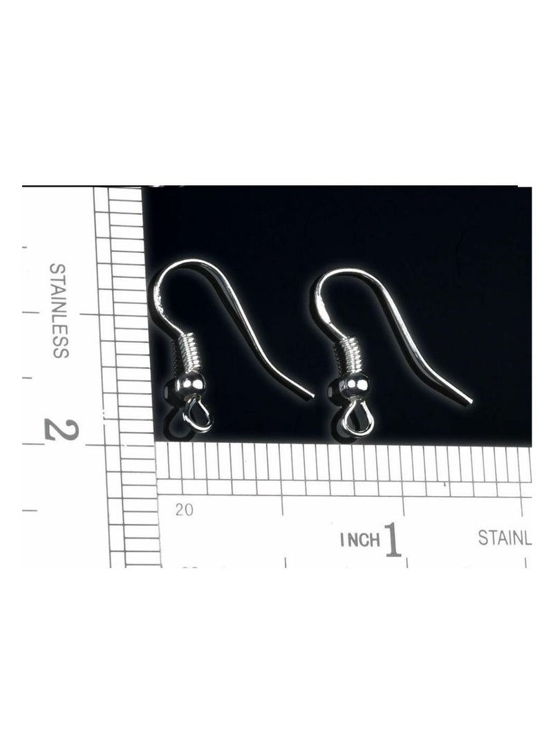 Generic 100 Pcs Stainless Steel Earring Hook Ear Wire Hook For DIY Jewelry Findings Earrings Making Silver Plated Earring Accessories - Image 4