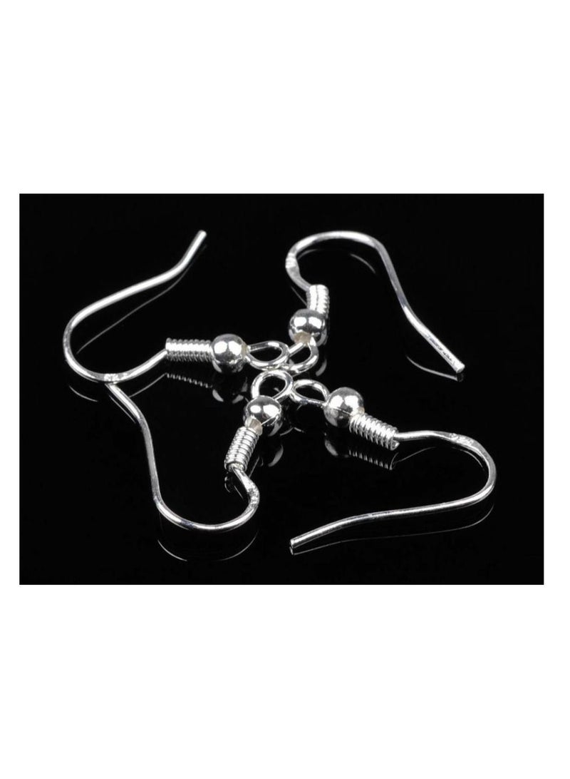 Generic 100 Pcs Stainless Steel Earring Hook Ear Wire Hook For DIY Jewelry Findings Earrings Making Silver Plated Earring Accessories - Image 5
