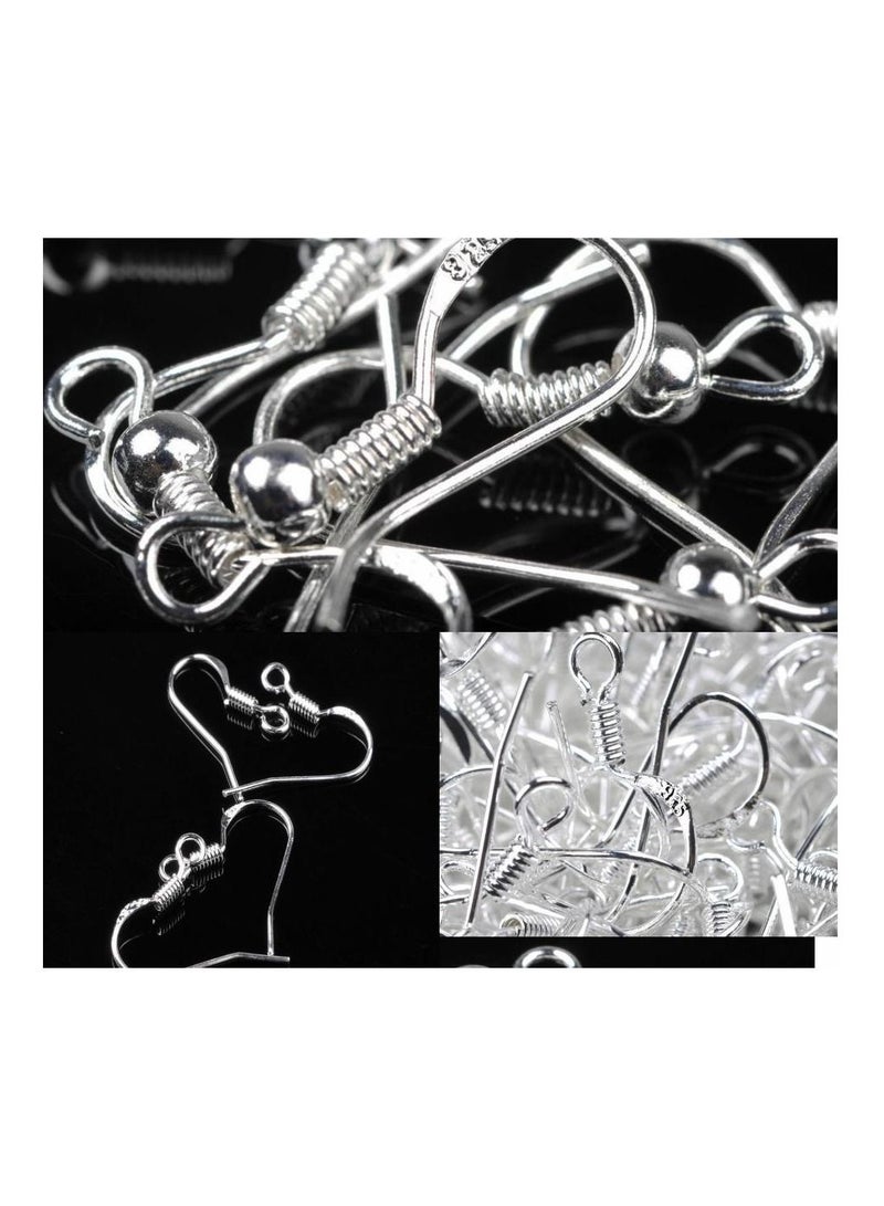 Generic 100 Pcs Stainless Steel Earring Hook Ear Wire Hook For DIY Jewelry Findings Earrings Making Silver Plated Earring Accessories - Image 3