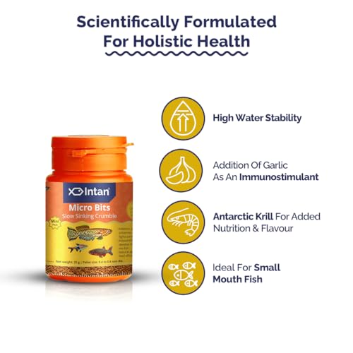 Intan Micro Bits (0.4-0.6mm Slow Sinking Crumble) | 25gm - Highly Nutritious Ornamental Fish Food for Small Mouths - Killifish, Tetras, Rasboras & Danios | Growel Feeds - Image 4