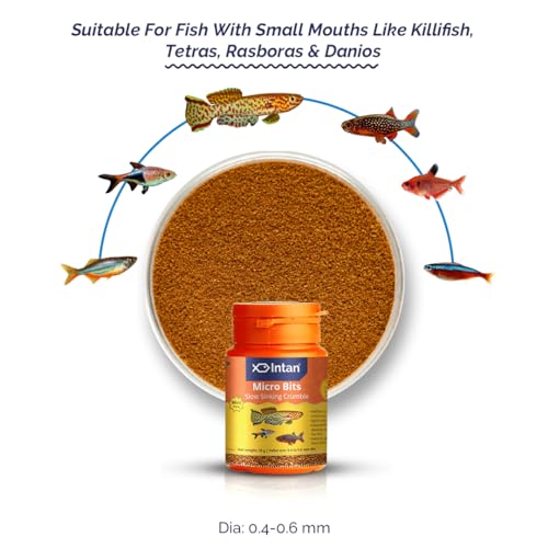 Intan Micro Bits (0.4-0.6mm Slow Sinking Crumble) | 25gm - Highly Nutritious Ornamental Fish Food for Small Mouths - Killifish, Tetras, Rasboras & Danios | Growel Feeds - Image 2