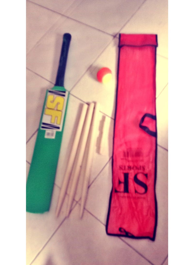 Kids Cricket Bat Set with Tennis Ball, Wickets, and Bat Cover Combo - Image 3