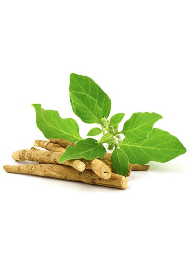 Laperva Organic Ashwagandha Root Powder – 2025 mg Stress Relief, Energy & Hormonal Balance Support (60 Tablets) - Image 4