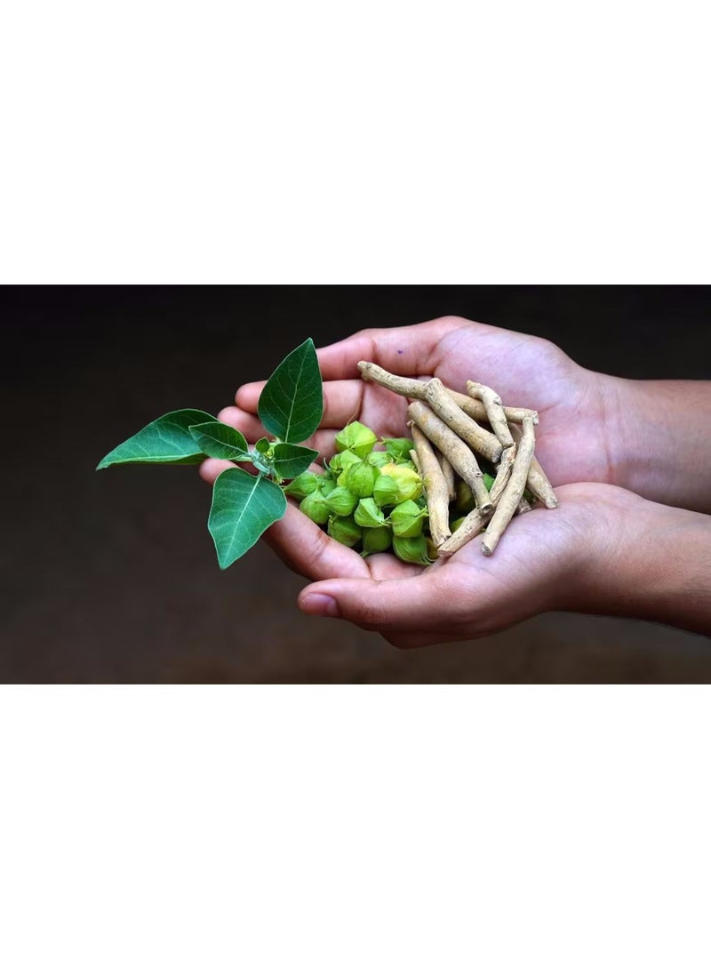 Laperva Organic Ashwagandha Root Powder – 2025 mg Stress Relief, Energy & Hormonal Balance Support (60 Tablets) - Image 5