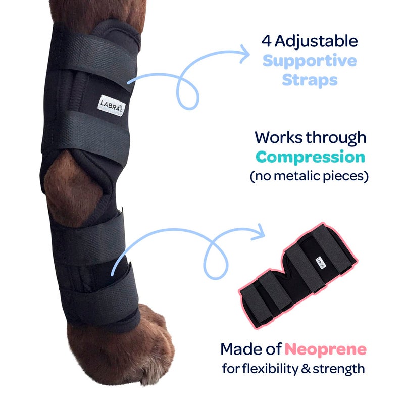 Labra Dog Rear Leg Hock Joint Compression Wrap - Supportive Brace for Weak Back Legs, ACL Tear, and Joint Discomfort - Adjustable Hind Leg Support for Senior Dogs - Large - Image 3