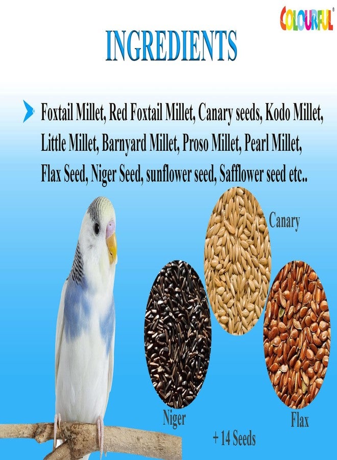 COLOURFUL - Natural & Healthy Premium Birds Food | Daily Birds Food Seed Mix | Budgie/Parakeet Seed Mix 1000G + Free 200G,All Life Stages, 1 Count - Image 4