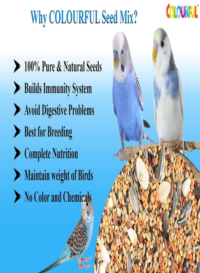 COLOURFUL - Natural & Healthy Premium Birds Food | Daily Birds Food Seed Mix | Budgie/Parakeet Seed Mix 1000G + Free 200G,All Life Stages, 1 Count - Image 3