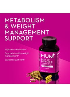 HUM Best of Berberine 1200mg - Pure Potency for Healthy Cholesterol Support & Weight Management, Enhanced with BioPerine for Maximum Nutrient Absorption. 30 Day Supply  - Image 3