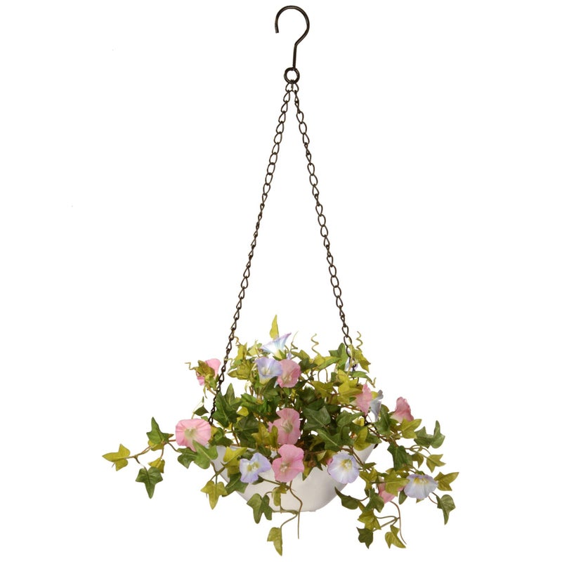 National Tree National Tree Morning Glory Plant Hanging Basket 9 Inch Multi 