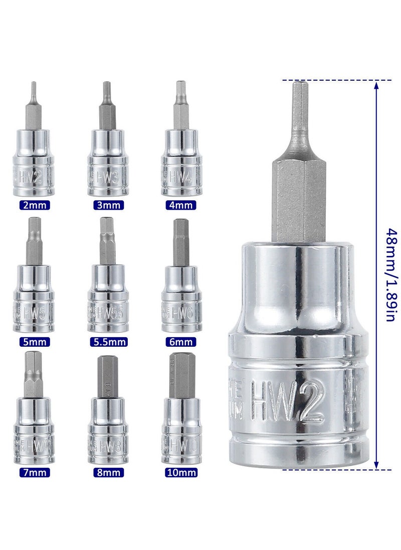 Generic - Allen Hex Bit Socket Set, 9 Piece 3/8 Inch Drive Metric, Sizes 2-10mm Allen Head Hex Key Socket Set - Image 1
