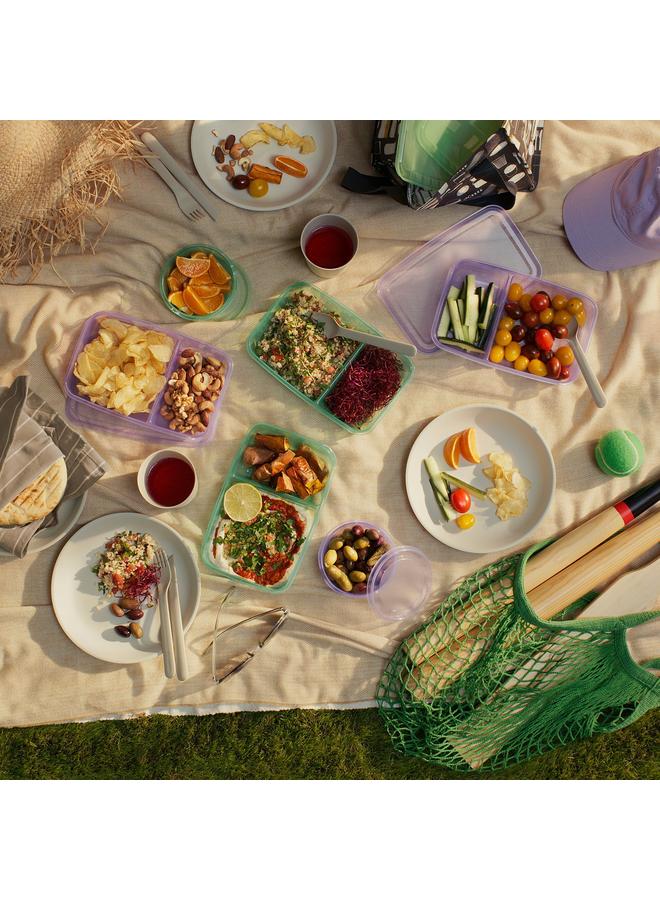 إيروريكس حاوية ساندويتش مع غطاء، بنفسجي/أخضر، 22×14×5 سم - Image 5