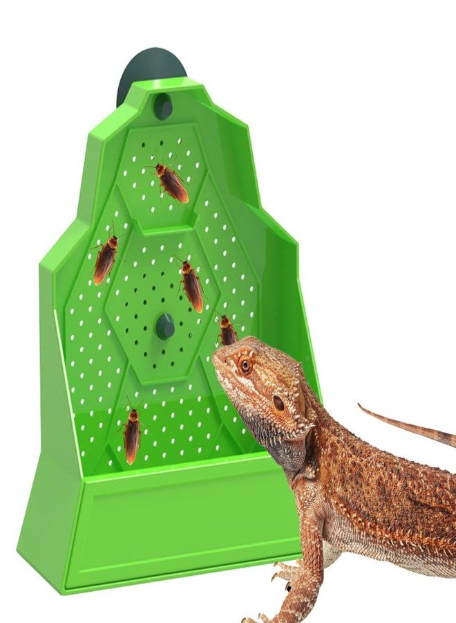 DONGKER Bearded Dragon Feeder,Anti-Escape Reptile Wall-Mounted Feeding Dish Adjustable Suction Cup Height for Lizard Bearded Dragon Gecko Frog - Image 1